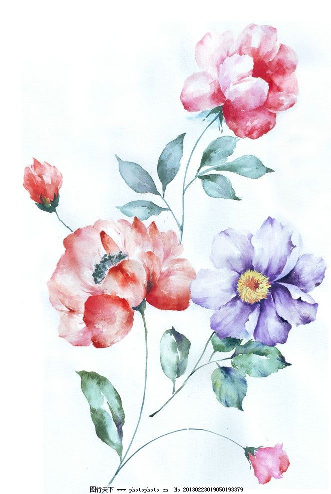 手绘花卉 自然之美的纸上绽放