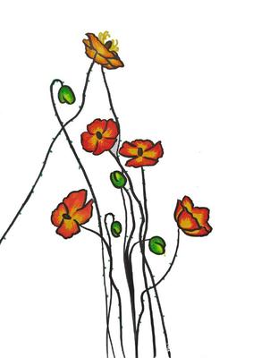 简笔画植物花卉系列 多彩多姿的虞美人