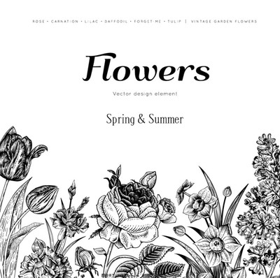 绽放艺术魅力 探索黑色手绘花卉背景矢量素材之美